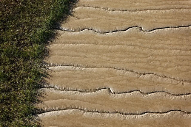 mud, estuary, coast, seashore, foreshore, shore, intertidal zone. A two-day coastal plan that adapts to any shoreline you find
