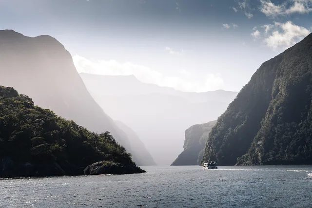 fiordland, ferry, fiord, nz, cruise, ship, water, sea, nature, stunning, cruise, cruise, ship, ship, ship, ship, ship, stunning. 4 details of accessible ferry travel people miss