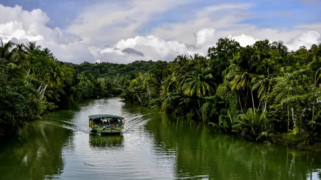 vietnam, river, boat, ferry, nature, jungle, forest