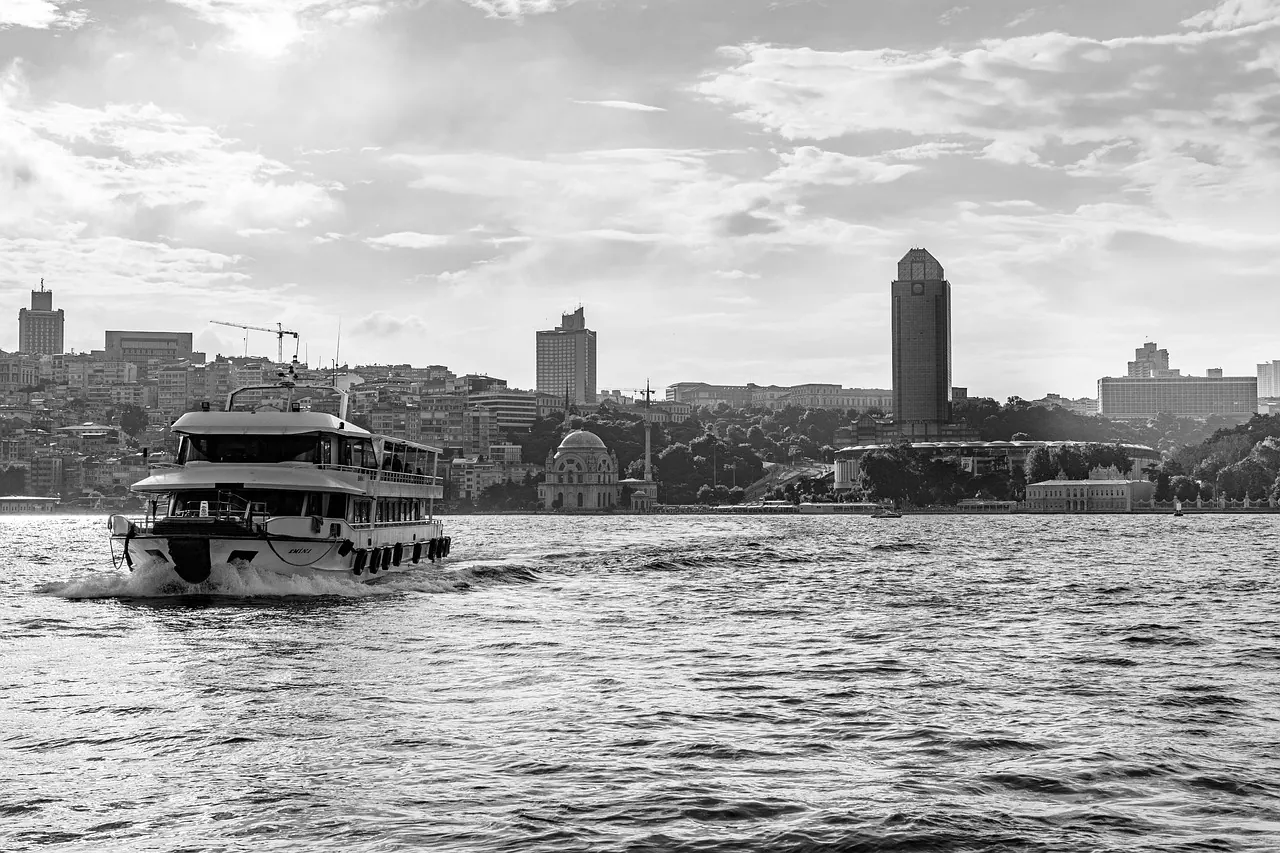 ferry, cruise, ship, sea, buildings, boat, ocean, tourism, nature, travel, tour, architecture, city, istanbul, coast, seascape, vacations, seaside, summer, turkey