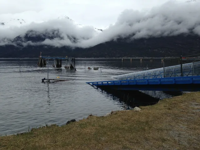 Skagway Ferry Terminal Dock. Juneau Ferry Booking: Four Things to Check