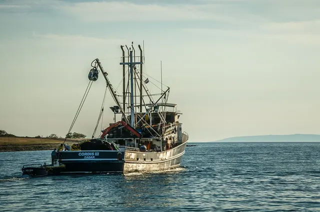 fishing boat, fishing, schiffer boat, leak, shipping, sea, ship, water, port, boat, ocean, ferry, anchorage, transport, nature, water transport, fisherman, goods, kuter